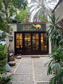 Zamalek's Hidden Gems: A Guide to the Most Aesthetic Spots You Can't Miss!