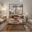 Mixed Geometric Mirror