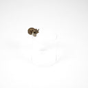 Brass Snail