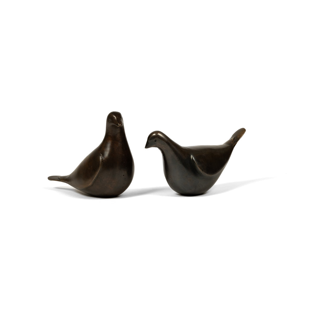 Pigeon
