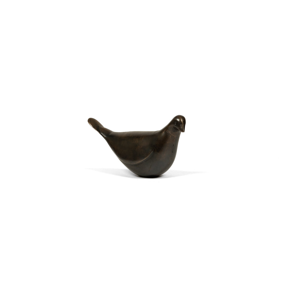 Pigeon